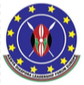 Kenya Diaspora Leadership Forum Europe logo